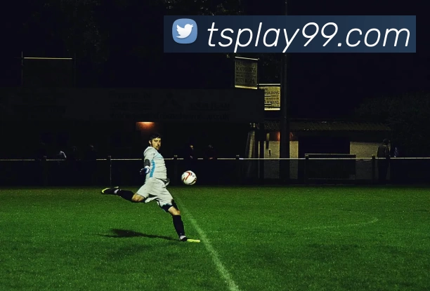 天狮娱乐官网发展历程