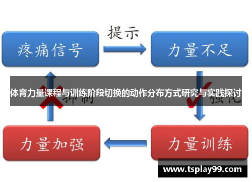 体育力量课程与训练阶段切换的动作分布方式研究与实践探讨