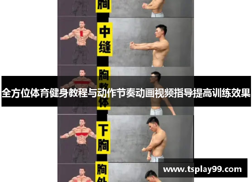 全方位体育健身教程与动作节奏动画视频指导提高训练效果